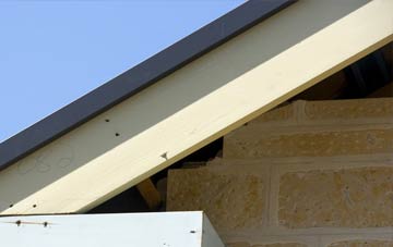 Worlingworth fascia repairs