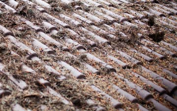 Worlingworth roof cleaning companies