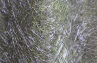 Worlingworth fibreglass roof work